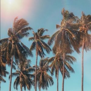 Meet your Posher, Bianca